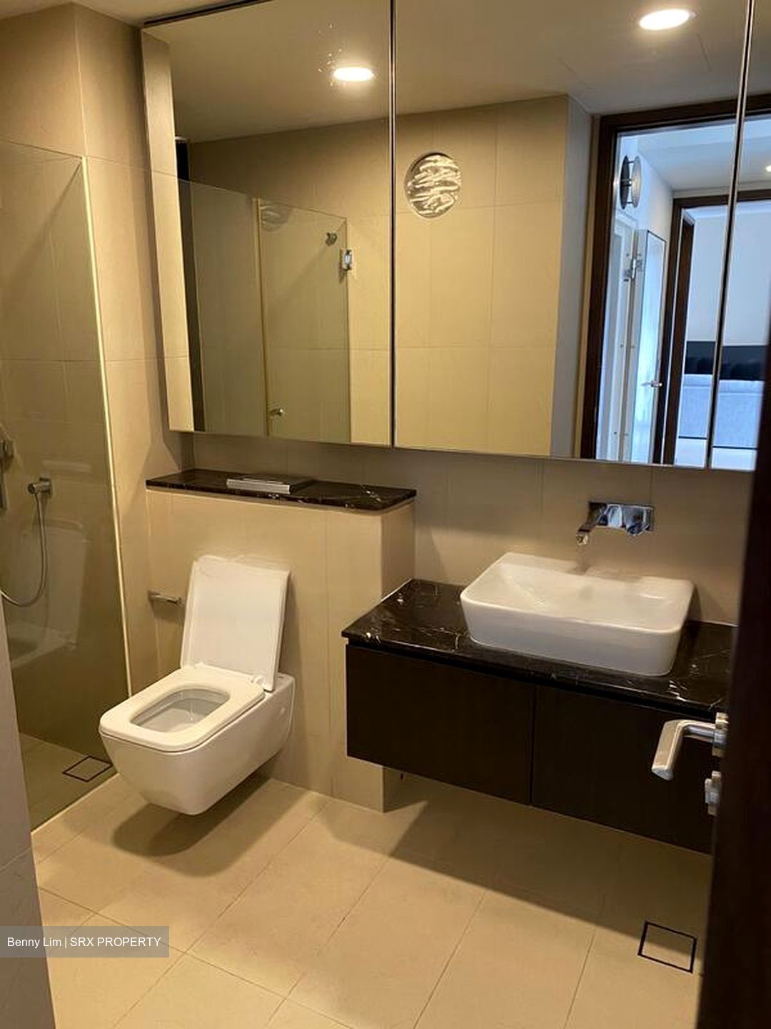 Spottiswoode Residences (D2), Condominium #482338291